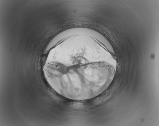 X0000116280462201001111039