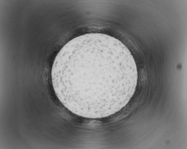 X0000116280463201001111039