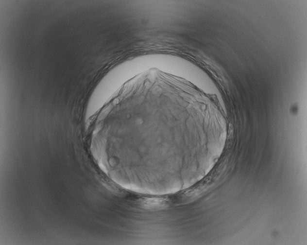 X0000116280465201001111039