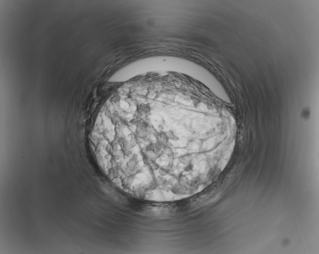 X0000116280466201001111039