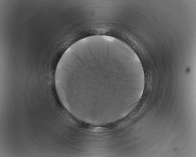 X0000116280467201001111039