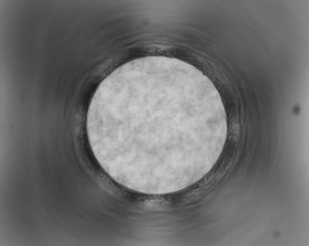 X0000116280468201001111039