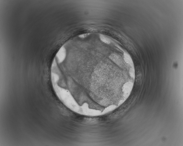 X0000116280469201001111039