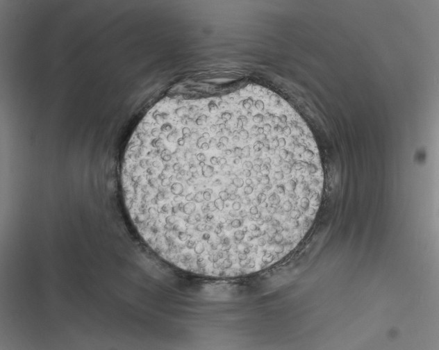 X0000116280470201001111039