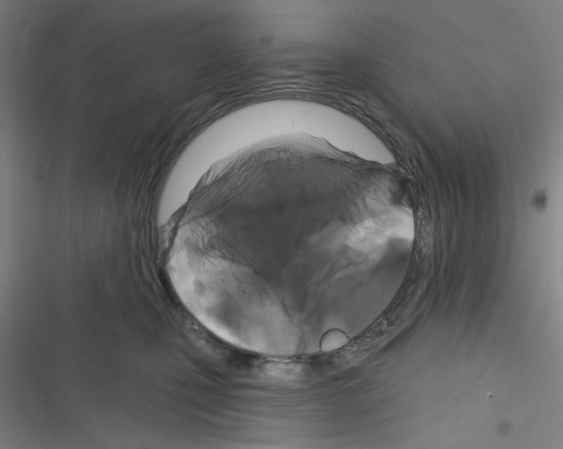 X0000116280471201001111039