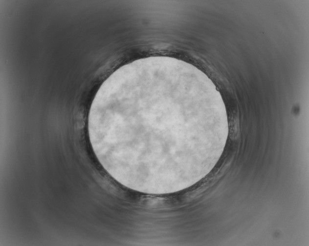 X0000116280472201001111039