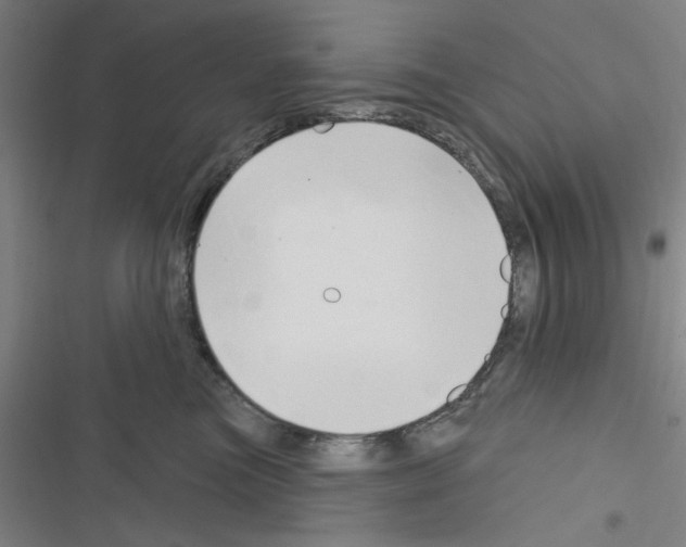 X0000116280473201001111039