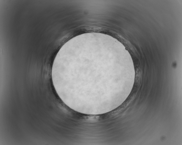 X0000116280474201001111039
