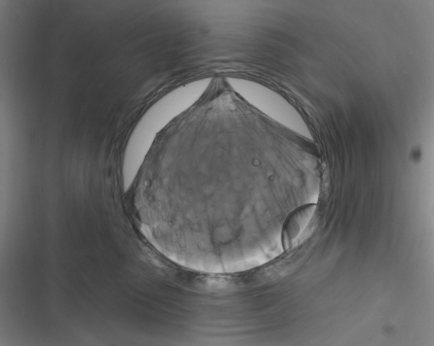 X0000116280475201001111039