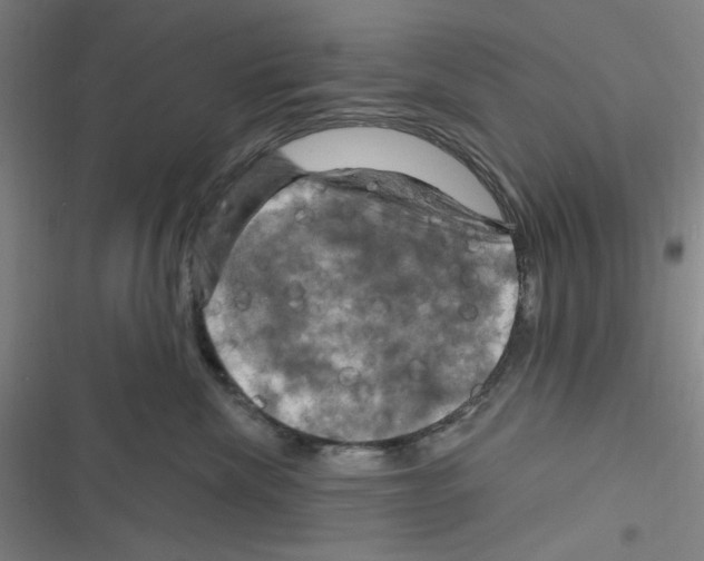 X0000116280476201001111039