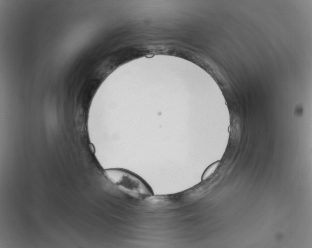 X0000116280477201001111039