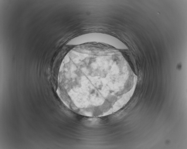 X0000116280478201001111039