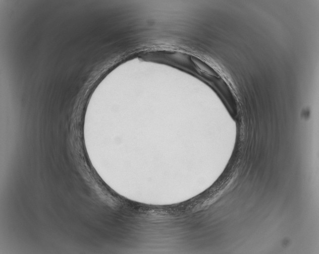 X0000116280481201001111038