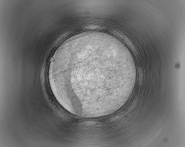 X0000116280482201001111038