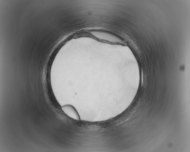 X0000116280483201001111038