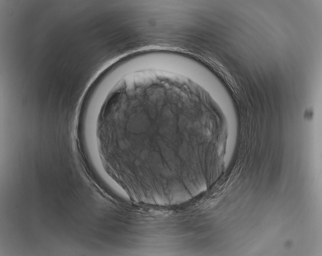 X0000116280484201001111038