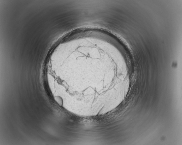 X0000116280487201001111038