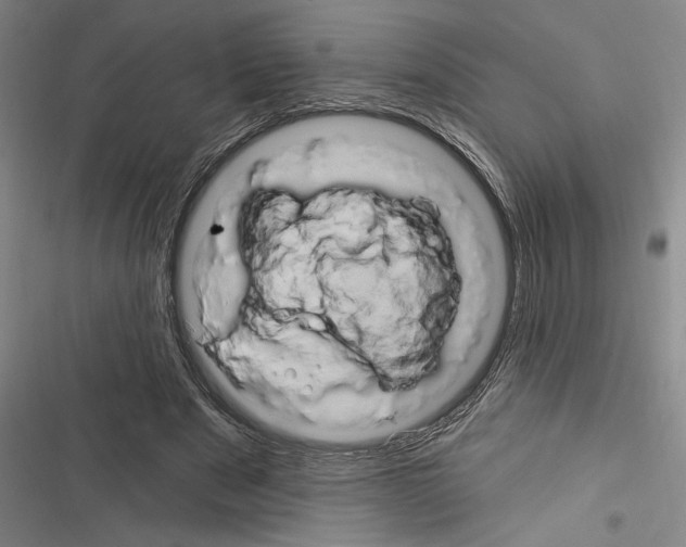 X0000116280489201001111038