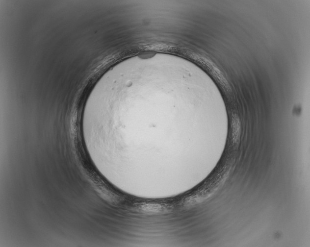 X0000116280490201001111038
