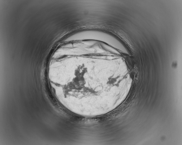 X0000116280491201001111038