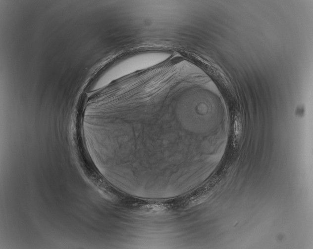 X0000116280492201001111038