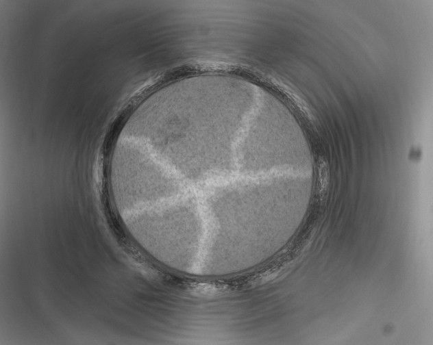 X0000116280494201001111038