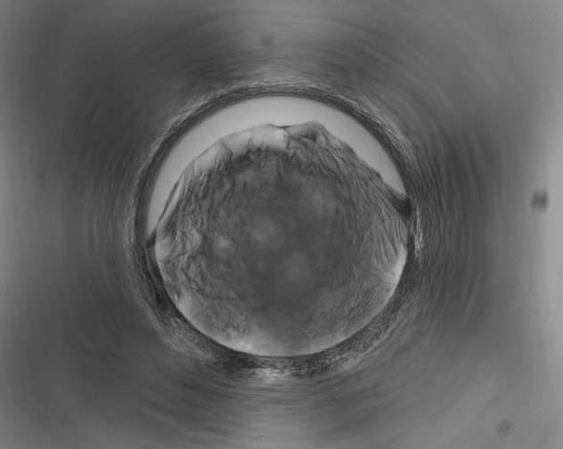 X0000116280496201001111038