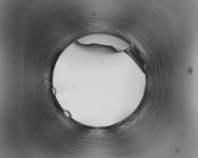 X0000116280497201001111038