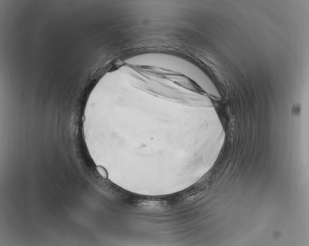 X0000116280499201001111038