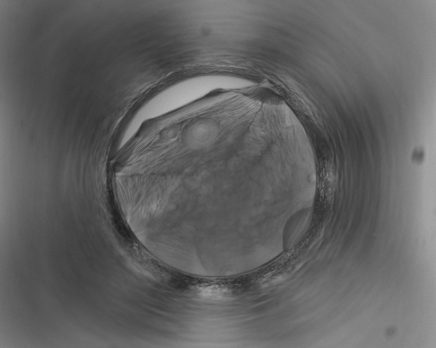 X0000116280500201001111038