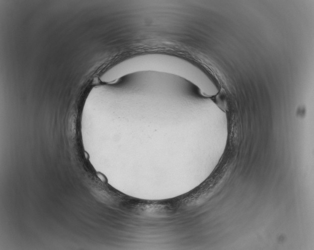 X0000116280501201001111038