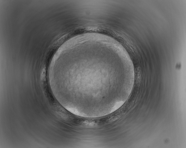 X0000116280502201001111038
