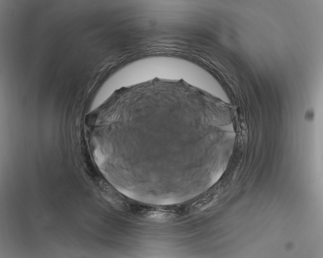 X0000116280504201001111038
