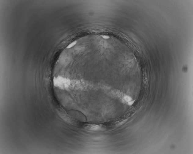 X0000116280507201001111038