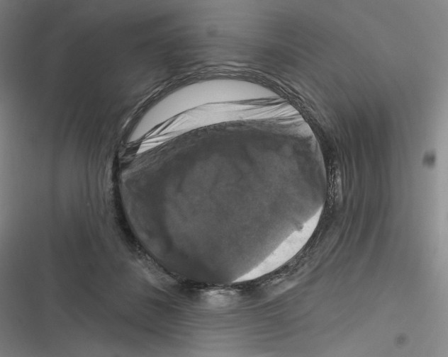 X0000116280508201001111038