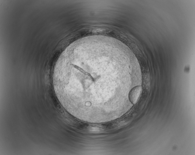 X0000116280510201001111038