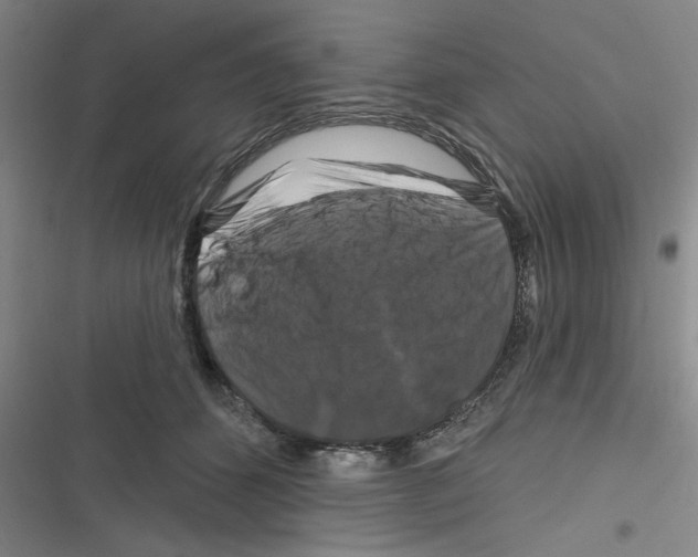 X0000116280512201001111038
