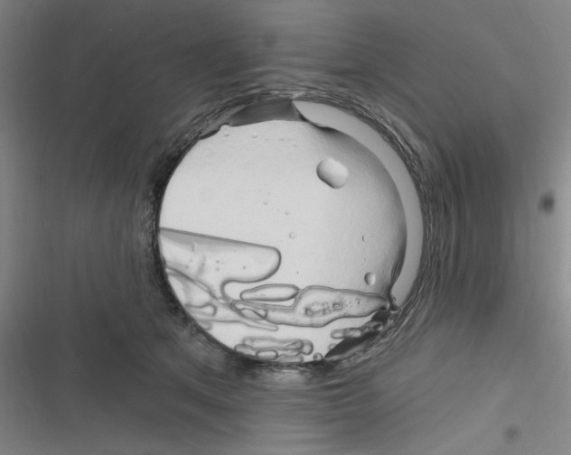 X0000116280513201001111038