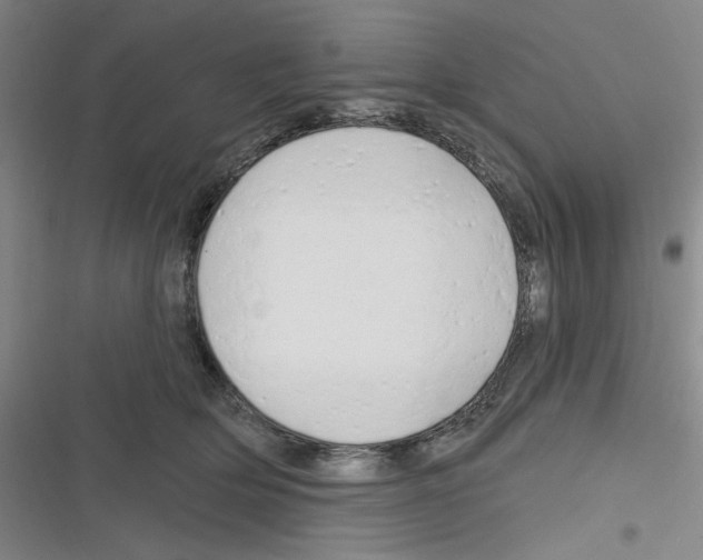 X0000116280514201001111038