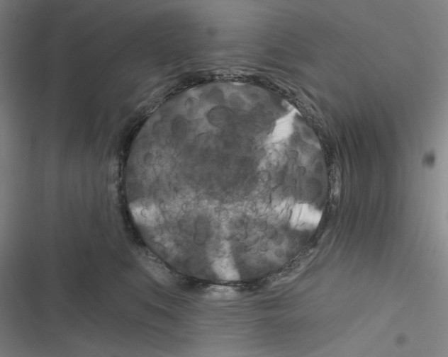 X0000116280519201001111038