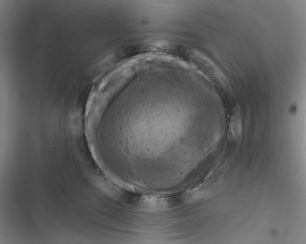 X0000116280520201001111038
