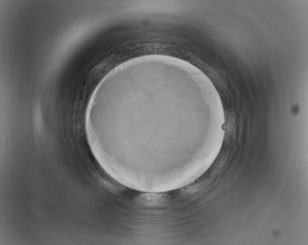 X0000116280526201001111038