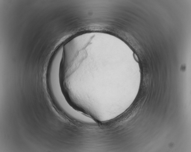 X0000116280530201001111037