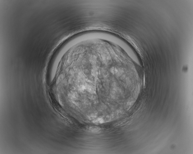 X0000116280531201001111037