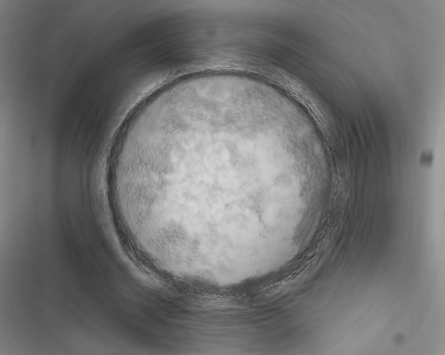 X0000116280534201001111037