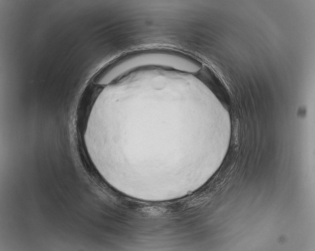 X0000116280535201001111037