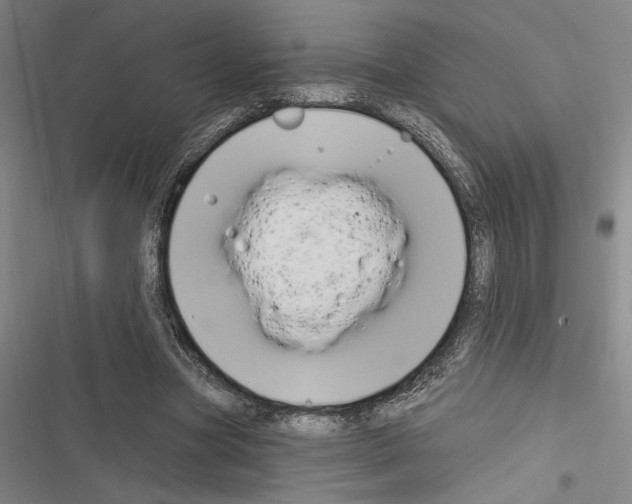 X0000116280537201001111037