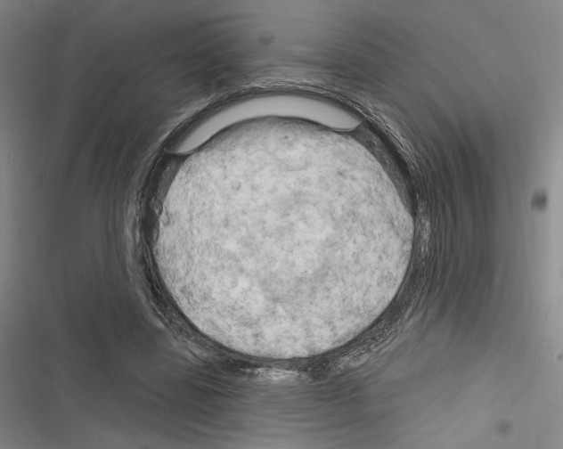 X0000116280539201001111037