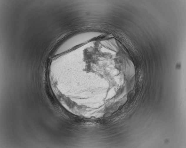 X0000116280542201001111037