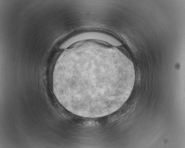 X0000116280543201001111037